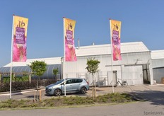 De vlaggen hingen uit bij Gebr. Vletter & Den Haan, dus we gingen een kijkje nemen hoe het erbij stond dit jaar.