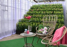 Mooie plek om even de beentjes tot rust te laten komen.