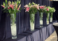 Ze hadden hun lelies mooi opgesteld bij de ingang.