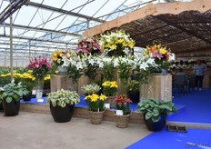 Goed verzorgde en mooie aangeklede loungebar waar je terecht kon voor een koud drankje.