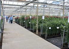 Klanten uit Taiwan keken hun ogen uit.