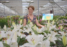 De marketing manager van Roy van Zanten bij hun noviteit de Rapid Lily.