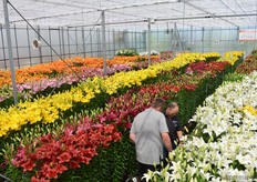 De kas stond er meer dan goed bij!