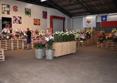 Zabo Plant had alles netjes verzorgd dit jaar. Ze hadden namelijk de eer om de opening van het event te verzorgen.