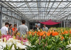 Meerdere geïnteresseerde snuffelden door de kas.