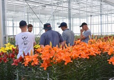 Geïnteresseerden uit Engeland keken hun ogen uit.