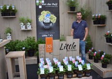 Jean-Pierre vd Peijl van Vd Peijl Tuinplanten, op de foto met de Little Hortensia’s.