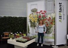 Jocelyn Fanay van Allplant