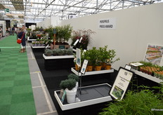 Aan het middenpad waren de noviteiten en prijswinnaars opgesteld