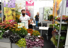 Darek Snieg van Vitroflora, met op de voorgrond een van de hardlopers binnen het assortiment, de Echinacea variëteiten.