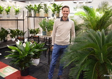 Niels Zwinkels, Westlandplant