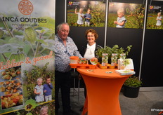 Dat mag u natuurlijk niet verder vertellen, maar Mulders Sierteelt heeft met de Inca Goudbes een mooi nicheje te pakken.