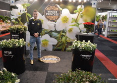 Chris IJzelenberg heeft een heus merk gebouwd rondom de eigen helleborus soorten: Winter Princess. De Winter Princess, vertelt Chris, heeft 30+ bloemknoppen.