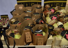 Het kartonnen doosje met de amaryllisbol