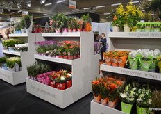 De displays van More Lips