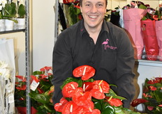 Michel laat ons nog een pareltje van een anthurium zien.