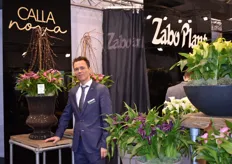 Emiel van Tongerlo staat namens Zabo Plant weer op de IPM en presenteert hun nieuwe Calla Nova lijn samen met hun pot lily's en Rose Lily's.