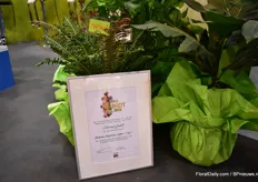 In de groene planten categorie van de Noviteiten awards, won de Blechnum brasiliense 'Copper Crisp' van Cultivaris ook een prijs.