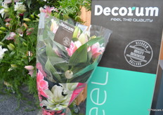 De Decorum Roselily's in de verpakking.