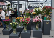 De noviteiten. De vier soorten op de achterste rij, van rechts naar links: Florinca "Cherry" van Together2Grow, Longliflorum "Fredo" van Moerman Lilium, Freesia "Orion" van Hofland Freesia en Chrysant "Bella Vista van Arcadia Chrysanten. De vier soorten op de voorste rij, van rechts naar links: "Roselily Samantha" en daarnaast "Peter Schenk", beide van Moerman Lilium gevolgd door "Alibaba" en "Andrea" van Arcadia chrysanten. 