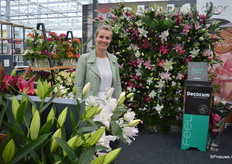 Marianne Stolze van Moerman Lilium, beken van het merk Roselily, de stuifmeelvrije lelie. In mei 2019 hebben ze de handen ineengeslagen met Decorum en lanceerden ze samen een nieuw gezamenlijk concept. Decorum Roselily’s zijn te herkennen aan de roze verpakking en de gouden munt die aan de lelies bevestigd zijn, zie de volgende foto. 