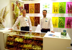 Simon en Jacco Vermeer van Kwekerij Leekade, dat gespecialseerd is in snij-cymbidium en deze zowel gemixed als op kleur uitlevert.