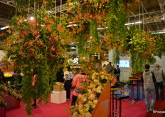 De gloriosa is, kennelijk, een van de producten die men in Japan graag teelt en volop in de etalage heeft. 