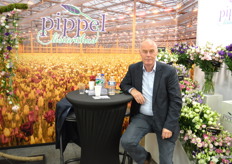 Jelle Pippel, Pippel Lisianthus
