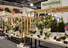 Het noviteitenplein, alwaar ook FloraHolland zelf alle ruimte had ingericht voor presentaties, promotie van het Floriday platform en andere ontmoetingen.