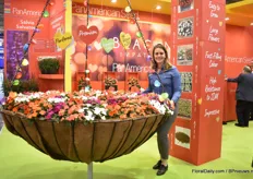 Denise van Kampen of PanAmerican Seed presenting the Beacon Impatiens varieties in a huge basket. Beacon is known for its resistance against downy mildew. The already showed the variety at the California Spring Trials and the FlowerTrials in 2019, but are now officially launching the variety.