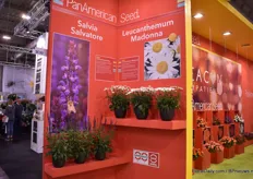 Of course, there were more varieties on display at PanAmerican Seed, like Salvia Salvatore and Leucanthemum Madonna, a Fleuroselect winner.