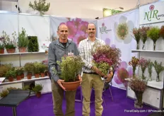 Nitzan and Asaf Nir of Nir Nursery presenting their Jupiter wax line. Jupiter wax is now a commercially protected name and the series is available in white, pink and purple and in pot and cut flowers.