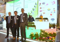 Rino Caccia, Paolo Gazzola, and Mario Rigatti of Padana in front of their new stand. This Italian company specialises in the production of young plants from seed and cuttings of a wide range of ornamental pot and bedding plants as well as vegetable plants. Moreover, the company runs its own breeding activities in Primula (Primabella) and Viola and is the exclusive distributor of Lavandula Lavinia (Plantinova) and Argyranthemum Grandaisy (MNP Flowers) for Italy.