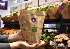 A new paper sleeve for the products of Queen. It tells the sustainable story of how it is raised, so raised on rain water, grown in recyclable and recycled pots, biological pest control is used. According to Louise Jepsen, the supermarkets are looking for alternatives to plastic.