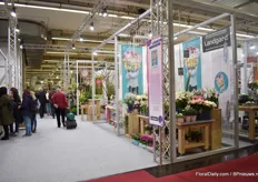 In hall 1A, where florists are the main visitors.