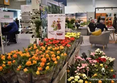 The large booth of Roses Forever was not in the 'Danish Hall' this year, but of course, one could see some of their flowers and a sign to their booth, which was in hall 1 this year.