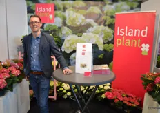 Peter van den Bos van Island Plants is momenteel druk met het uitleveren van kamerhortensia. Deze week komen de eerste planten voor buiten los.