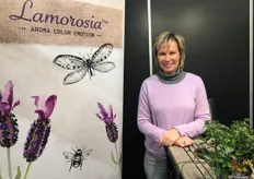 Nancy Quintyn van Plantcare bvba stond op de beurs met haar Lavendel Lamorosia. Het soort is vanaf half april weer beschikbaar tot en met September.