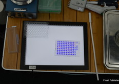 Seeds in a blue solutions are fit. Did the solution turn pink, a seed is probably damanged; did all color disappear, it means a seed is dead.