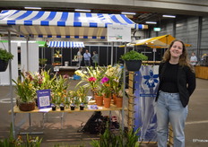 Floor Tesselaar van Top-Orchids, een kweker die zich heeft toegelegd op de meest exclusieve soortjes binnen de orchideeen.