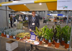 Tom van Winden van Van Winden Erica, bekend van de zamio's maar onder andere ook met echeveria en curio's, én ook met perkgoed op de markt.