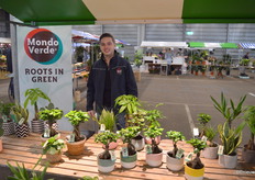 Frans Bakker, Mondo Verde, met uiteraard weer een mooi assortiment tropische kamerplanten op de bühne.