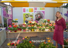 Anita Kap, het vertrouwde gezicht bij gerberakwekerij Freek v/d Velden.