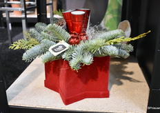 De favoriet van Erwin.