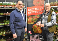 Frank Timmermans van Florti Vert bracht een bezoekje aan Johan Eveleens van kwekerij Eveleens. Johan gaf extra aandacht een een exclusief nieuw soort dat volgend jaar op de markt komt. Hij is acht jaar bezig geweest met de vermeerdering en staat te popelen om ze op de markt te brengen.