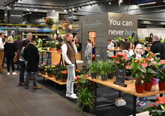 Stand van Decorum was natuurlijk goed bezocht.