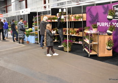 Bij Deep Purple waren ze druk in gesprek.