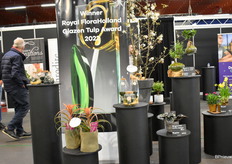 De winnaars van de Glazen Tulp Award 2022 in beeld.