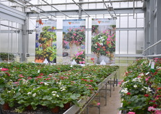 Overview of the testlocation from ABZ Seeds.