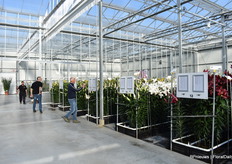 500 lotnummers staan in hun proefkas.